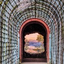 40 Fotozirkel Mannheim e.V. Gise Kraas